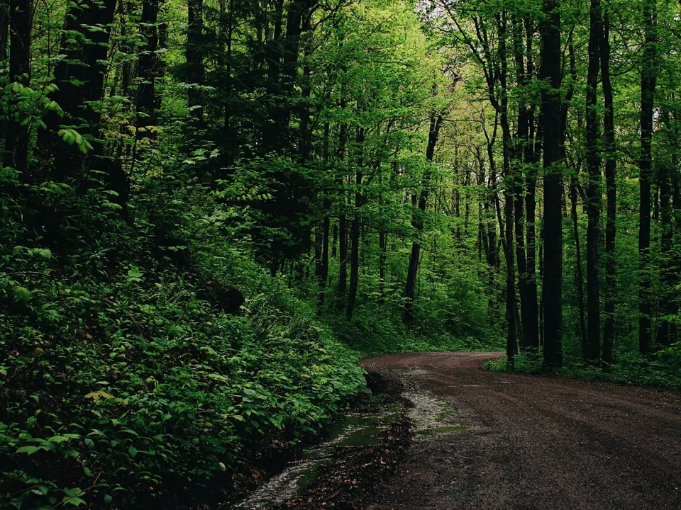 Coaching Exklusiv – Indoor / Outdoor Coaching