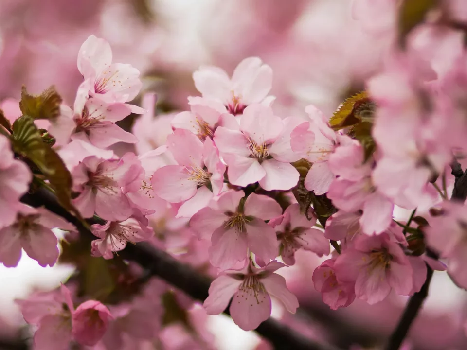 Stressabbau – Digital Detox